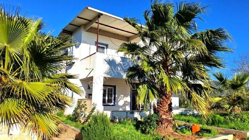 Yaşyer Tarım Ve Hayvancılık Komple Tesis Ve Arazisi Fırsat Fiyat - Görsel 2