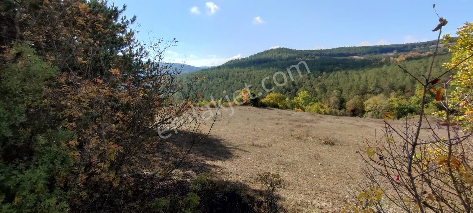 Bursa / Orhaneli Süleyman Bey Köyünde 8.500 M² Arazi - Görsel 19