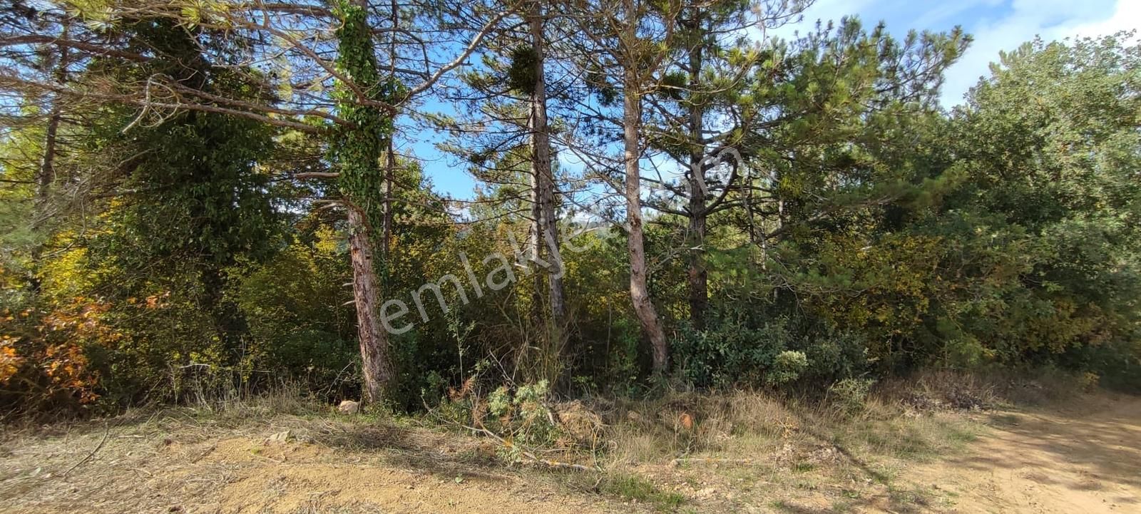 Bursa / Orhaneli Süleyman Bey Köyünde 8.500 M² Arazi - Görsel 7