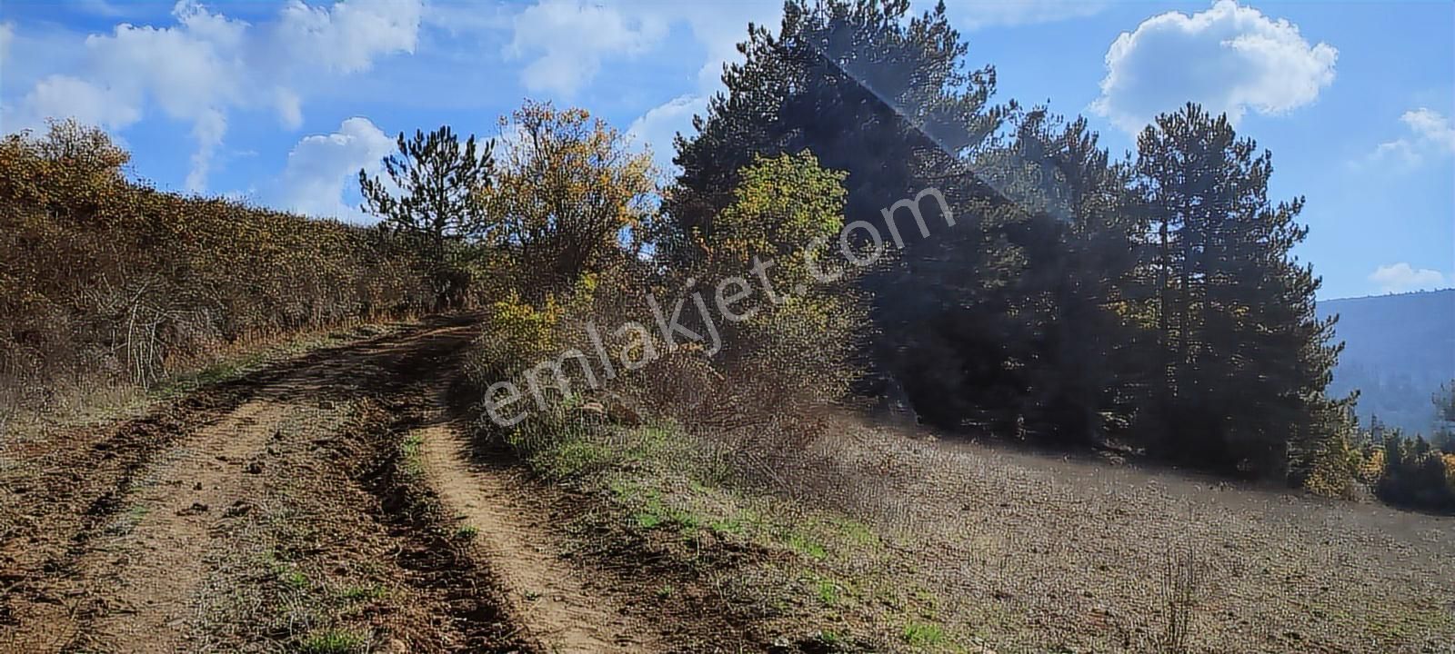 Bursa / Orhaneli Süleyman Bey Köyünde 8.500 M² Arazi - Görsel 23