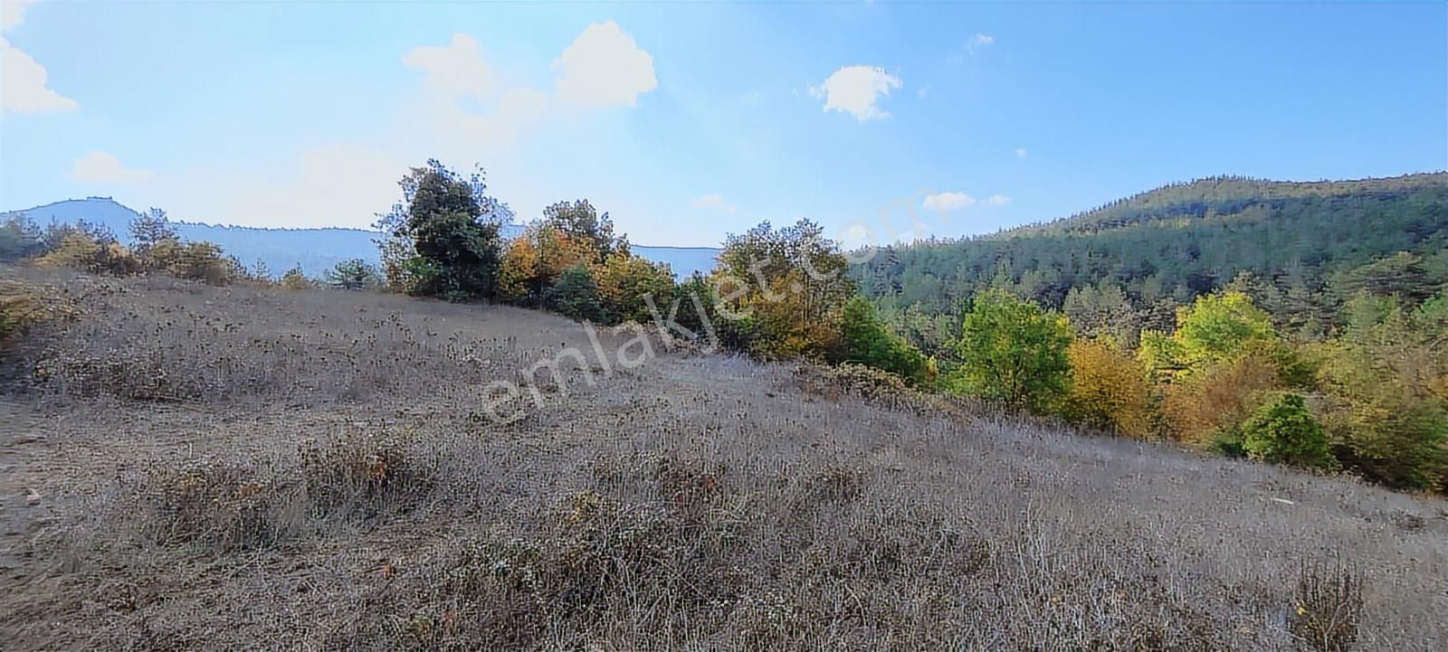 Bursa / Orhaneli Süleyman Bey Köyünde 8.500 M² Arazi - Görsel 33