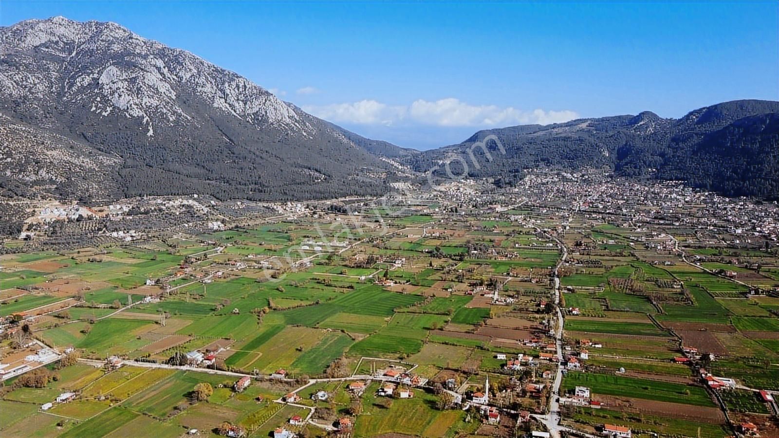 Üzümlü De Tek Tapu Tarla.elektrik Su Aboneliği Var Ortakuyu Da - Görsel 2