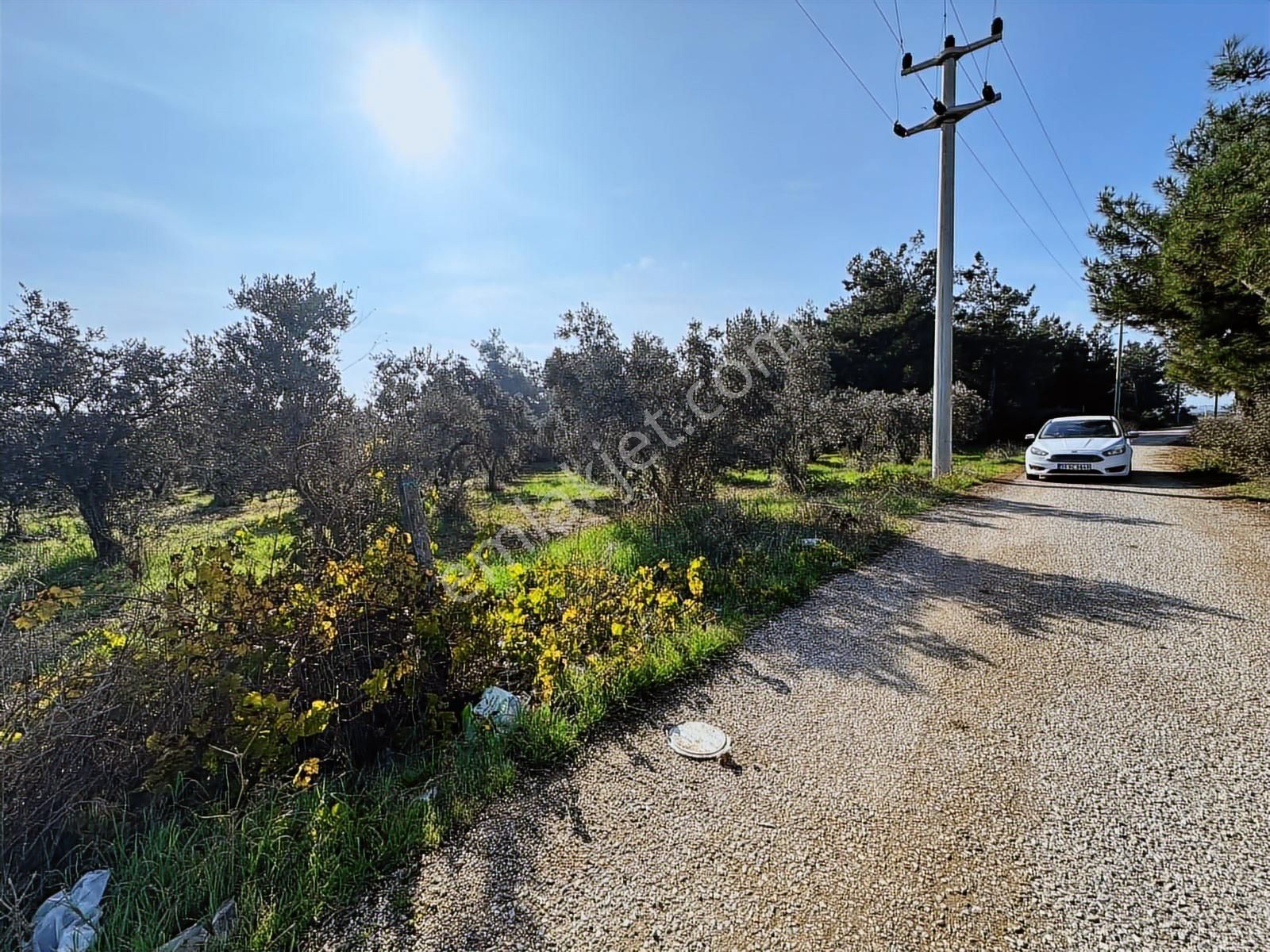 Öz-er Gayrimenkul'den Satılık Mükemmel Konumda Müstakil Arsa - Görsel 9