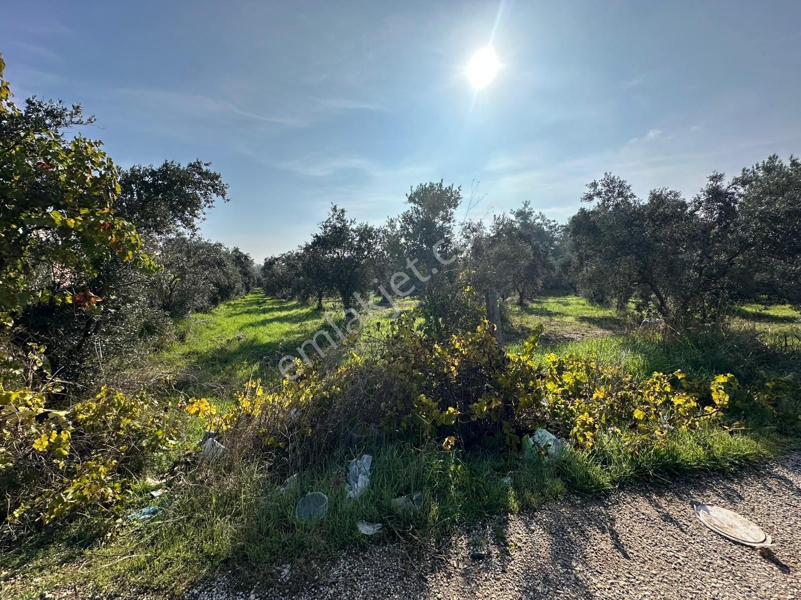 Öz-er Gayrimenkul'den Satılık Mükemmel Konumda Müstakil Arsa - Görsel 8