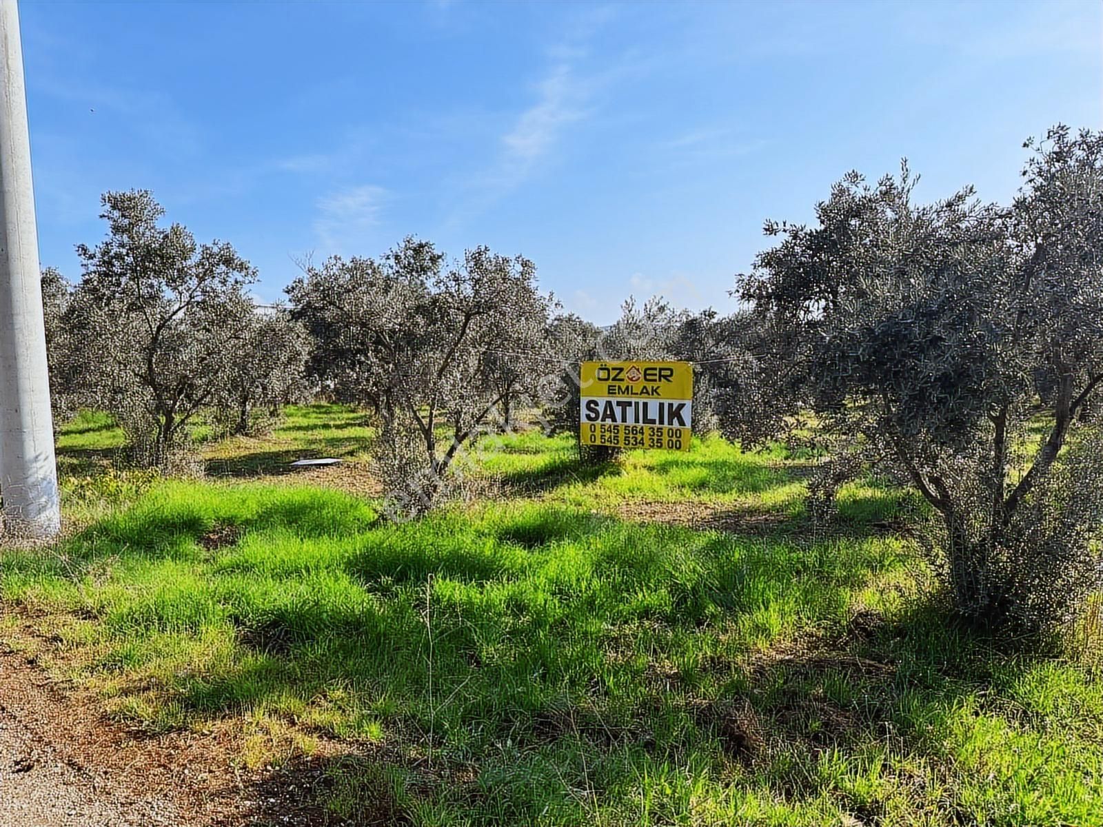 Öz-er Gayrimenkul'den Satılık Mükemmel Konumda Müstakil Arsa