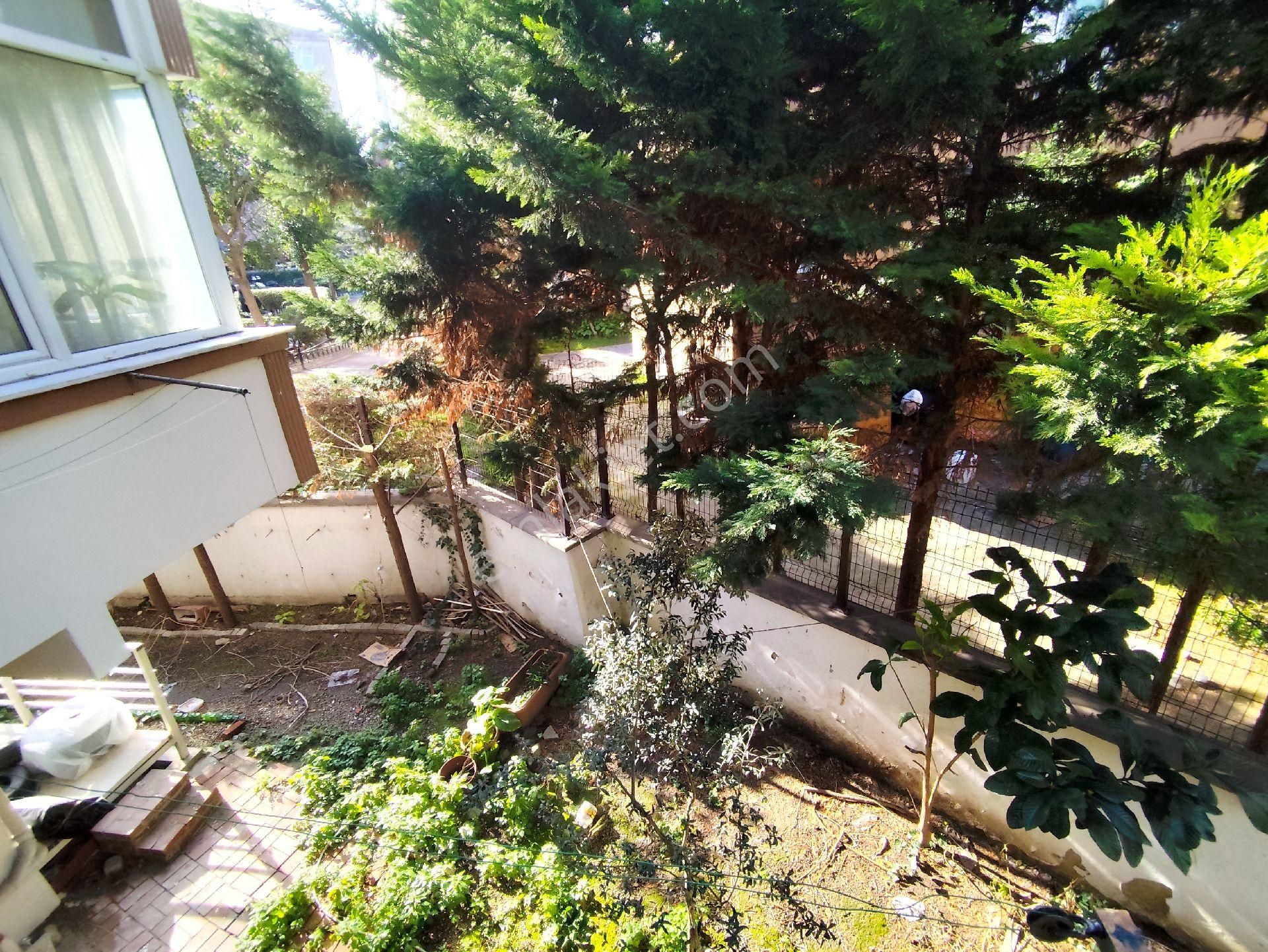 Kocamustafapaşa Şehit Turan Topal Sok Satılık 2+1 Çift Cephe - Görsel 28