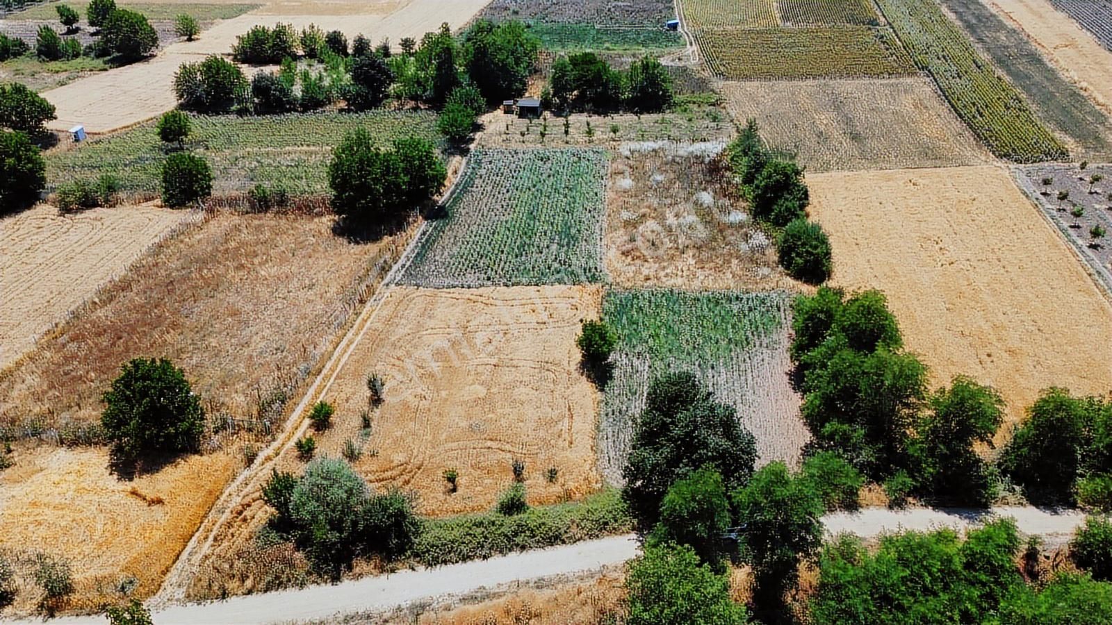 İnegöl Küçük Yenice De Satılık Hobi Bahçesi - Görsel 8