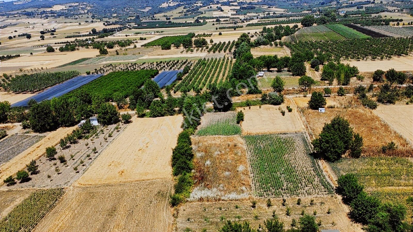 İnegöl Küçük Yenice De Satılık Hobi Bahçesi - Görsel 6