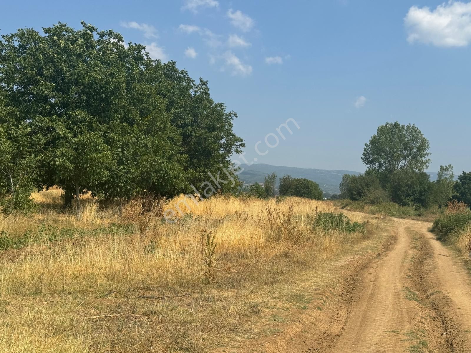 Ulucan'dan İnegöl Yiğitköyde Satılık Mükemmel Tarla - Görsel 6