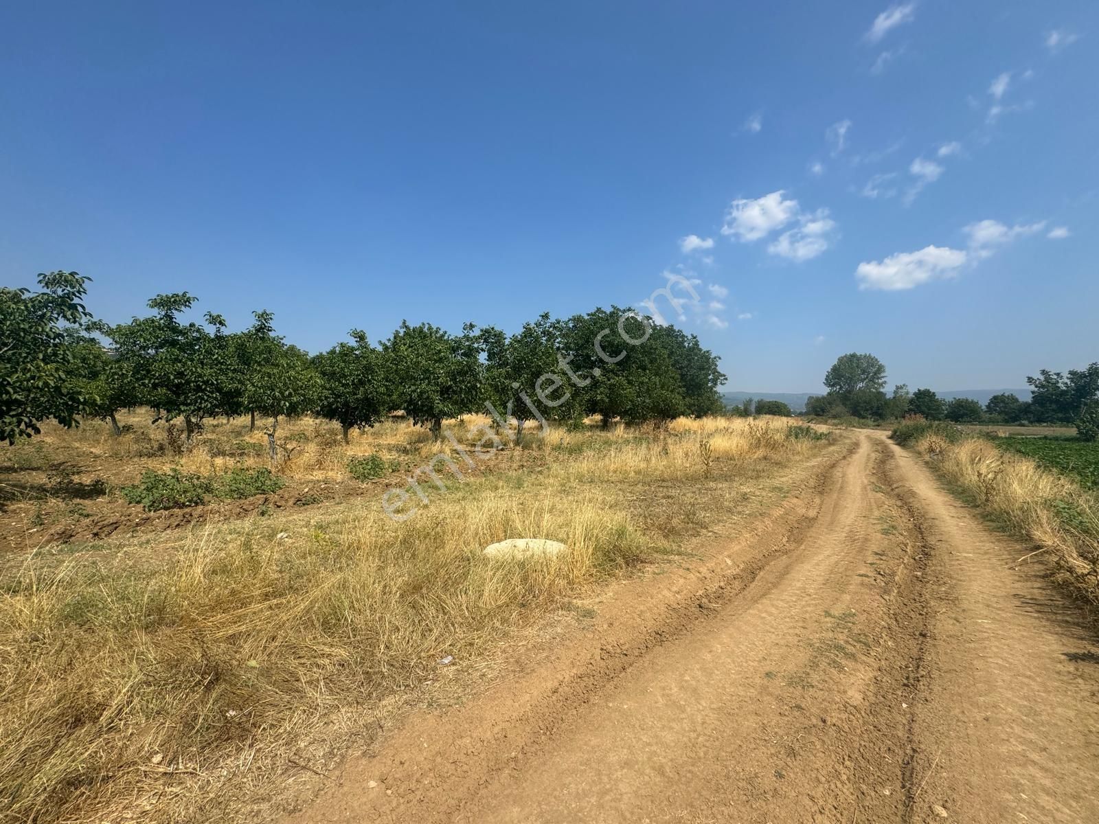 Ulucan'dan İnegöl Yiğitköyde Satılık Mükemmel Tarla - Görsel 3