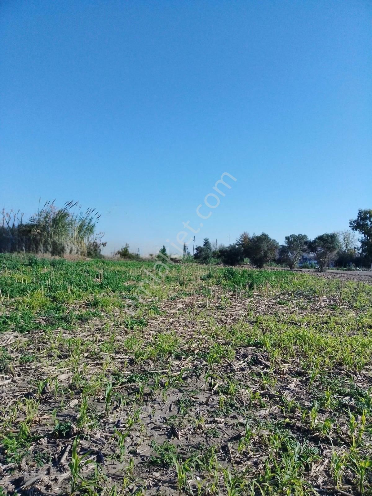 Karataş Yassıören Mah.köy İçinde 14.000.m2 Satılık Arsa...........