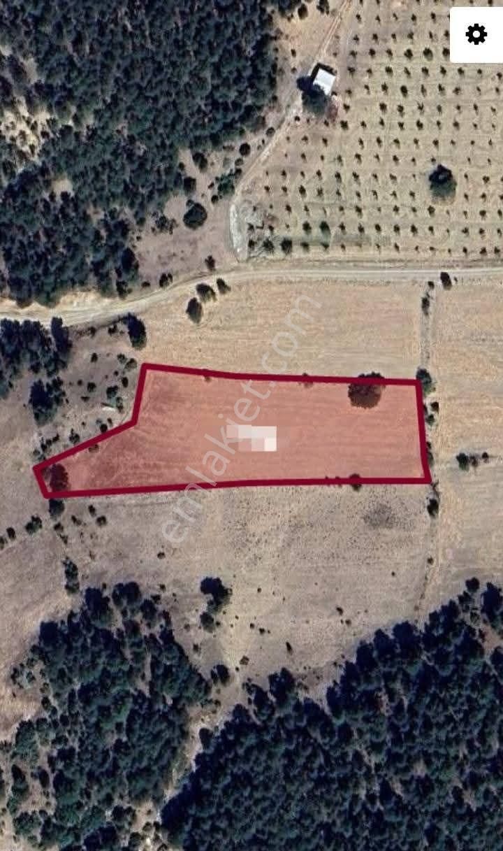 Satılık Tarla Serinhisar Yatağan Mevkisinde