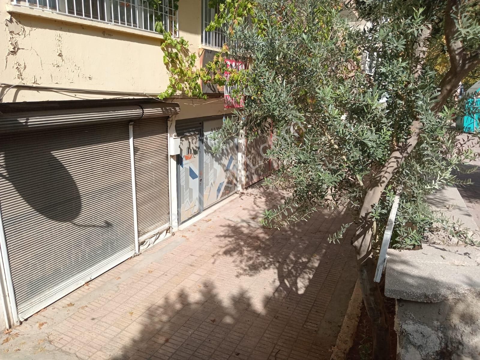 Alleben Mh De Kiralık Dükkan - Görsel 13