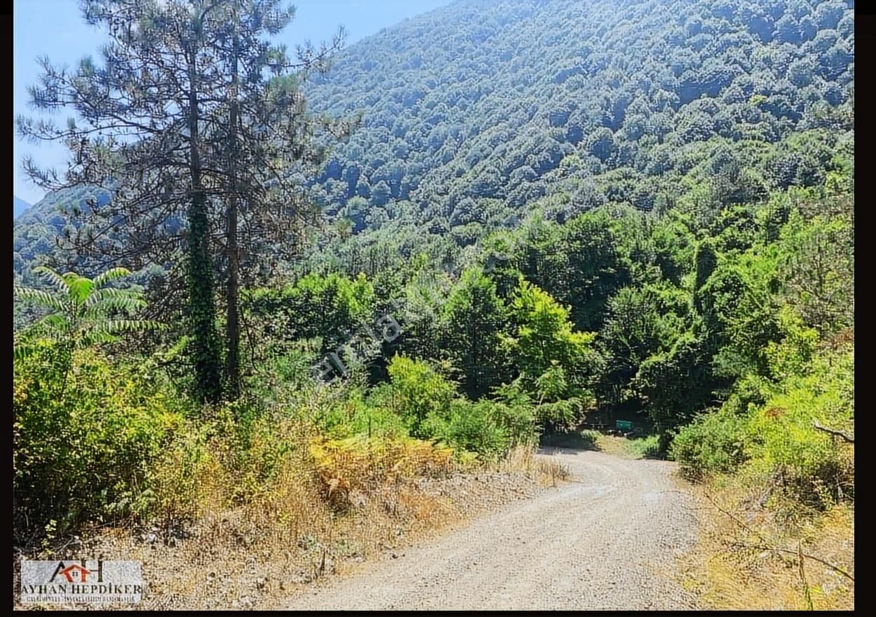 Geyvenin En Güzelyeri Nuriosmaniyede 18dönüm Harika Konumda Tarl - Görsel 6