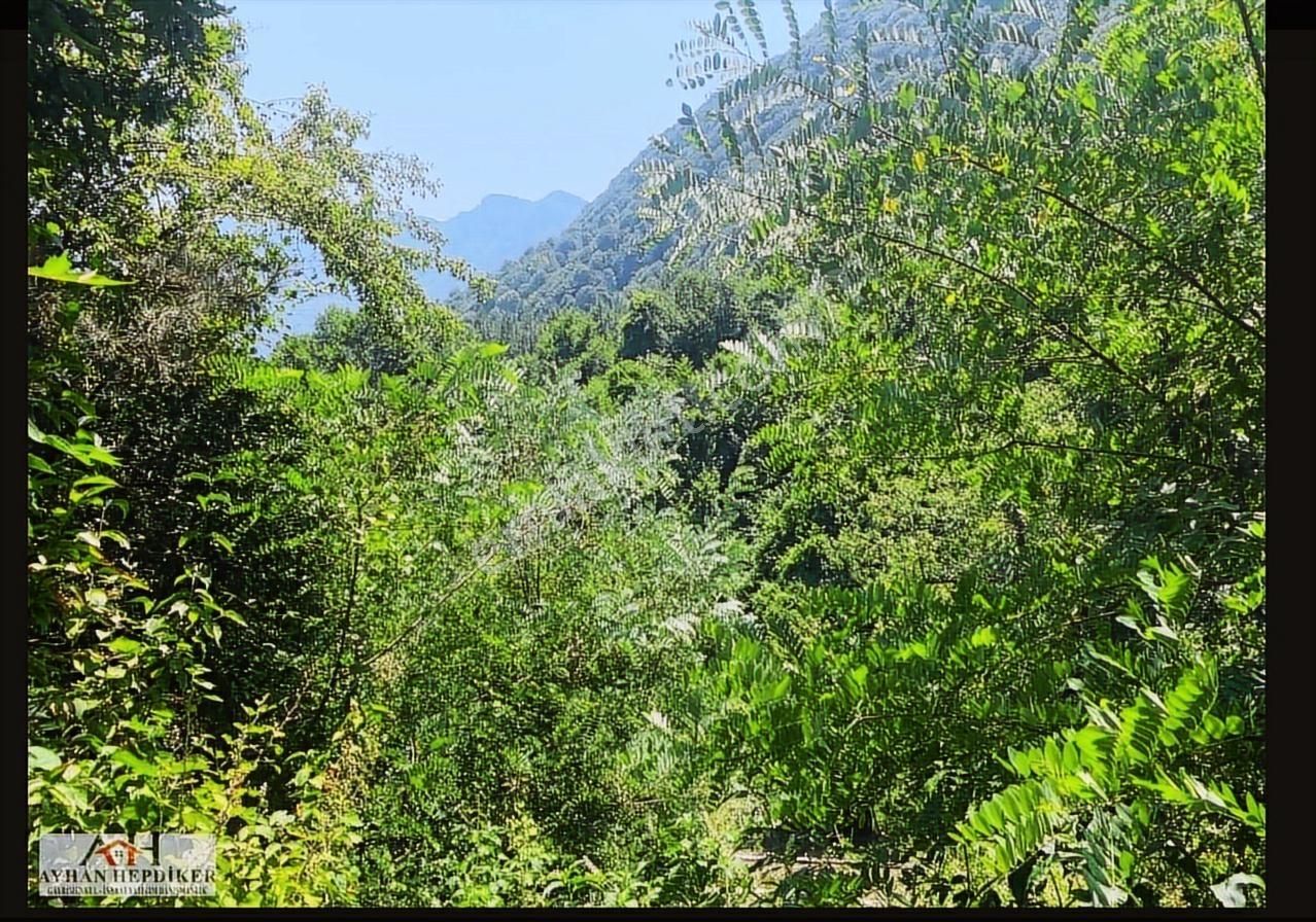 Geyvenin En Güzelyeri Nuriosmaniyede 18dönüm Harika Konumda Tarl - Görsel 23