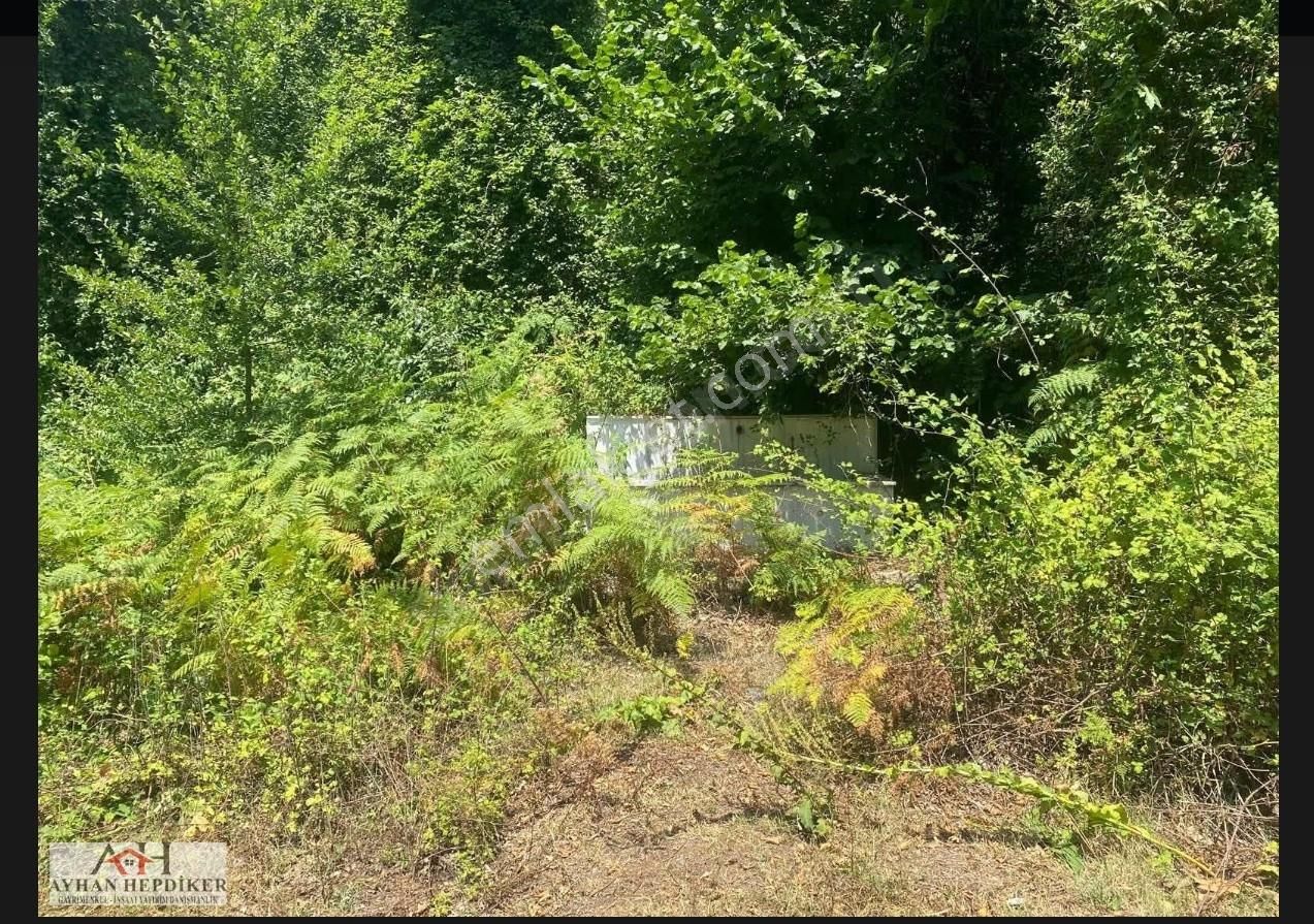 Geyvenin En Güzelyeri Nuriosmaniyede 18dönüm Harika Konumda Tarl - Görsel 16