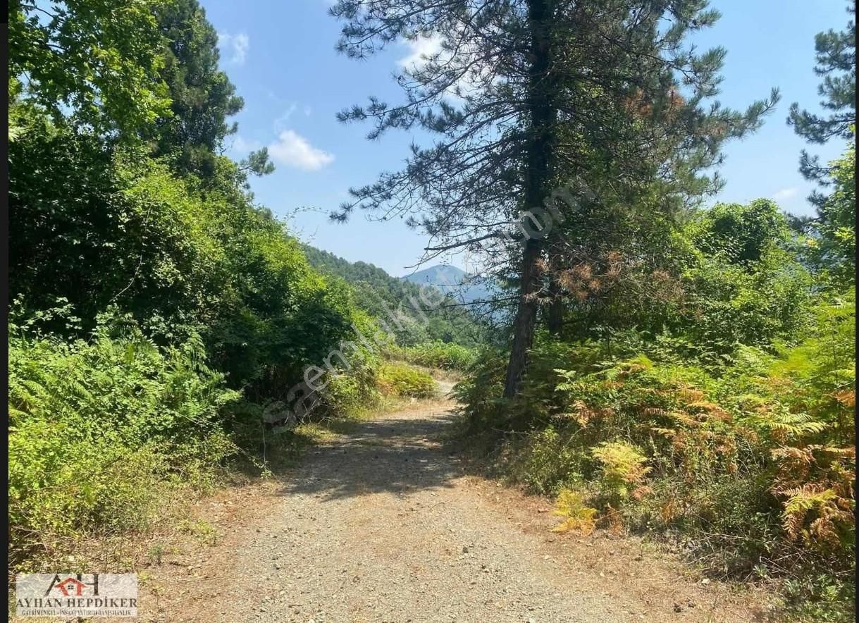 Geyvenin En Güzelyeri Nuriosmaniyede 18dönüm Harika Konumda Tarl - Görsel 20