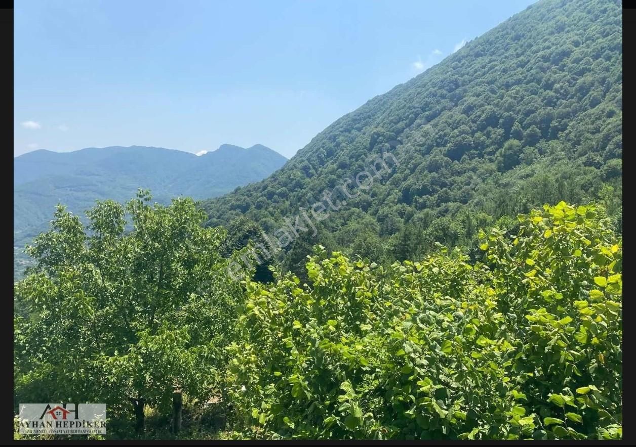 Geyvenin En Güzelyeri Nuriosmaniyede 18dönüm Harika Konumda Tarl - Görsel 7