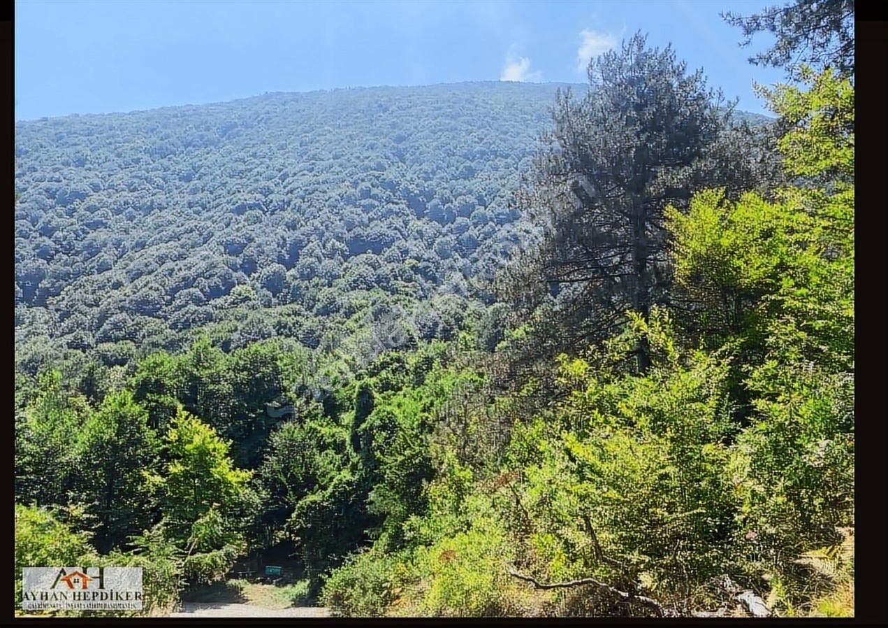 Geyvenin En Güzelyeri Nuriosmaniyede 18dönüm Harika Konumda Tarl - Görsel 21
