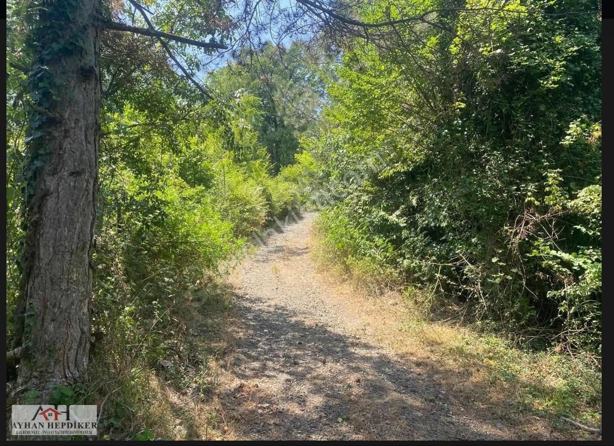 Geyvenin En Güzelyeri Nuriosmaniyede 18dönüm Harika Konumda Tarl - Görsel 15