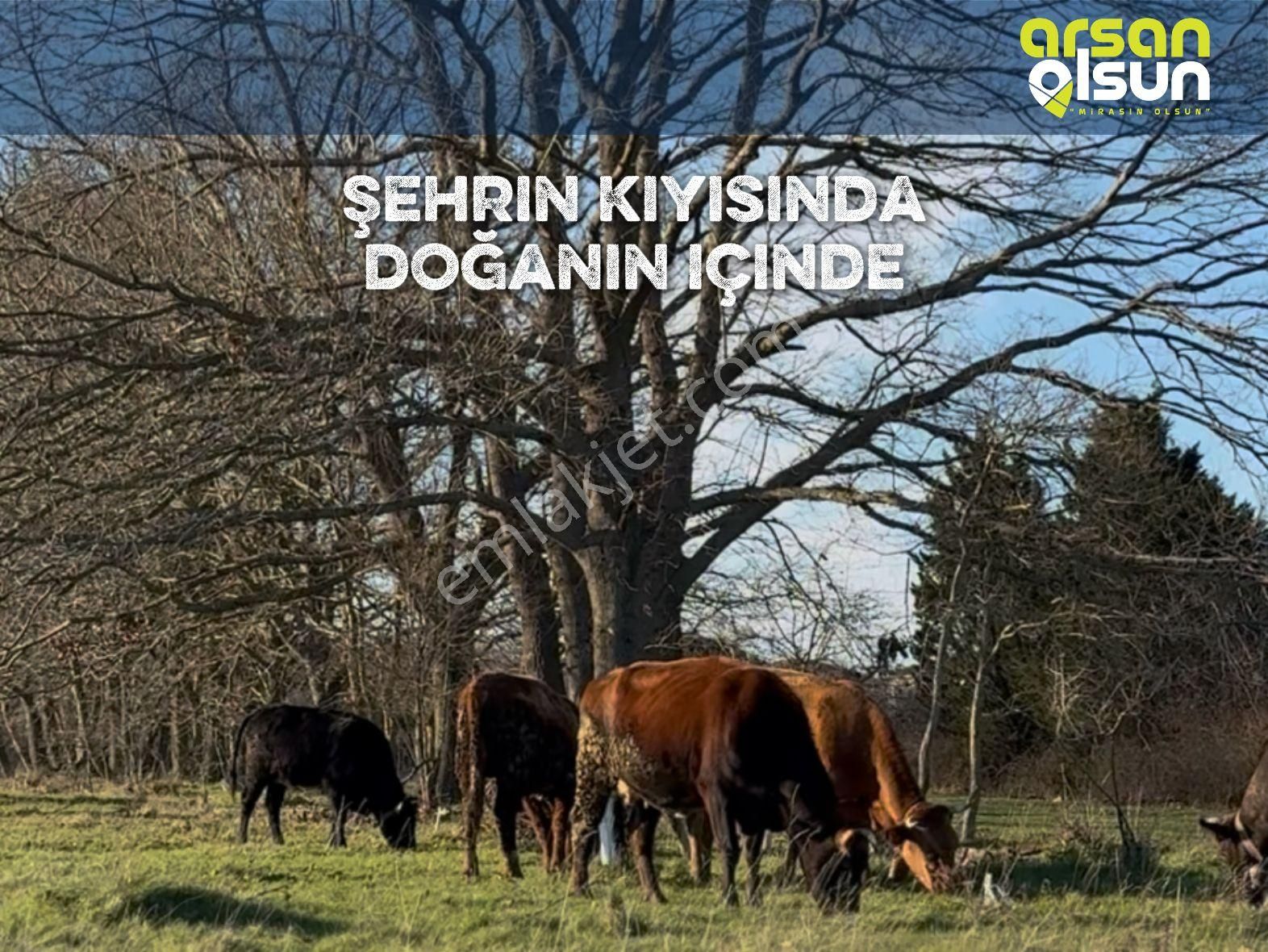 Karacaköy Merkez’de | Denize Yakın Konumda, İmar Planında Parseller - Görsel 3