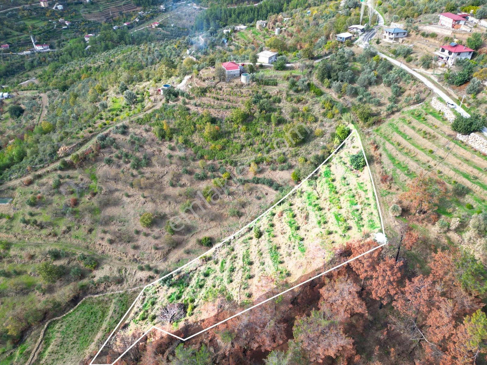 Alanya Şıhlar Köyü Merkezinde 4.460 M2 Satılık Tarla - Görsel 5