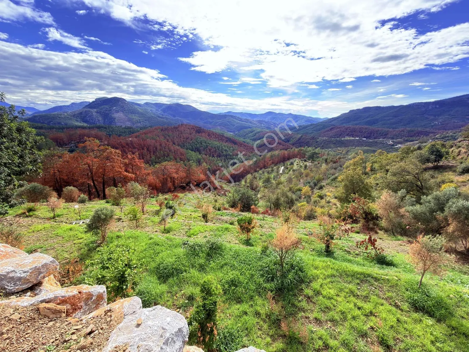 Alanya Şıhlar Köyü Merkezinde 4.460 M2 Satılık Tarla - Görsel 16