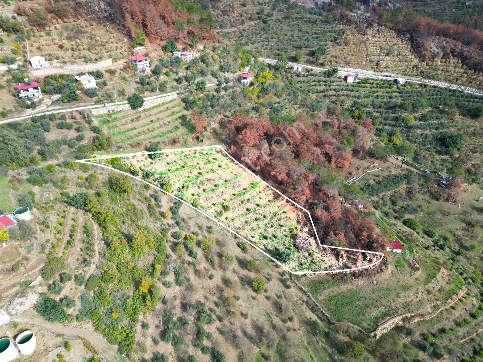 Alanya Şıhlar Köyü Merkezinde 4.460 M2 Satılık Tarla - Görsel 3