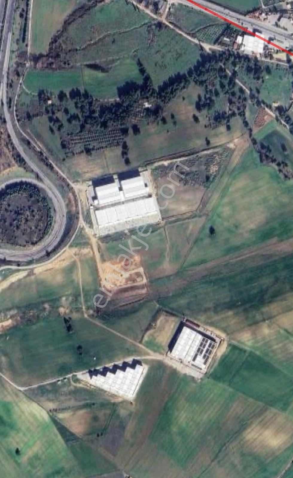 Qzen Gayrimenkul Oğlananası'nda 10.000 M2 %50 Depo İmarlı Arsa - Görsel 6