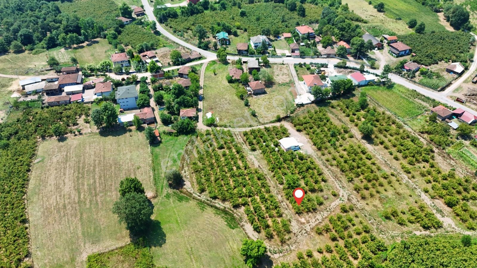 Sakarya Hendek Aşağıçalıca'da Mahalle İçinde 150m² Arsa