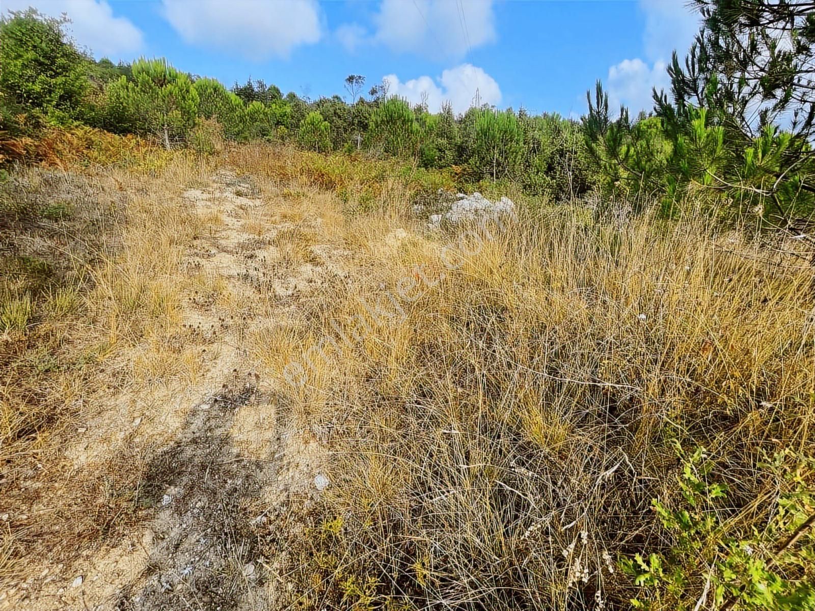 Ağvada Projesi Hazır İmarlı Köy İçi Full Manzaralı Arsa - Görsel 18