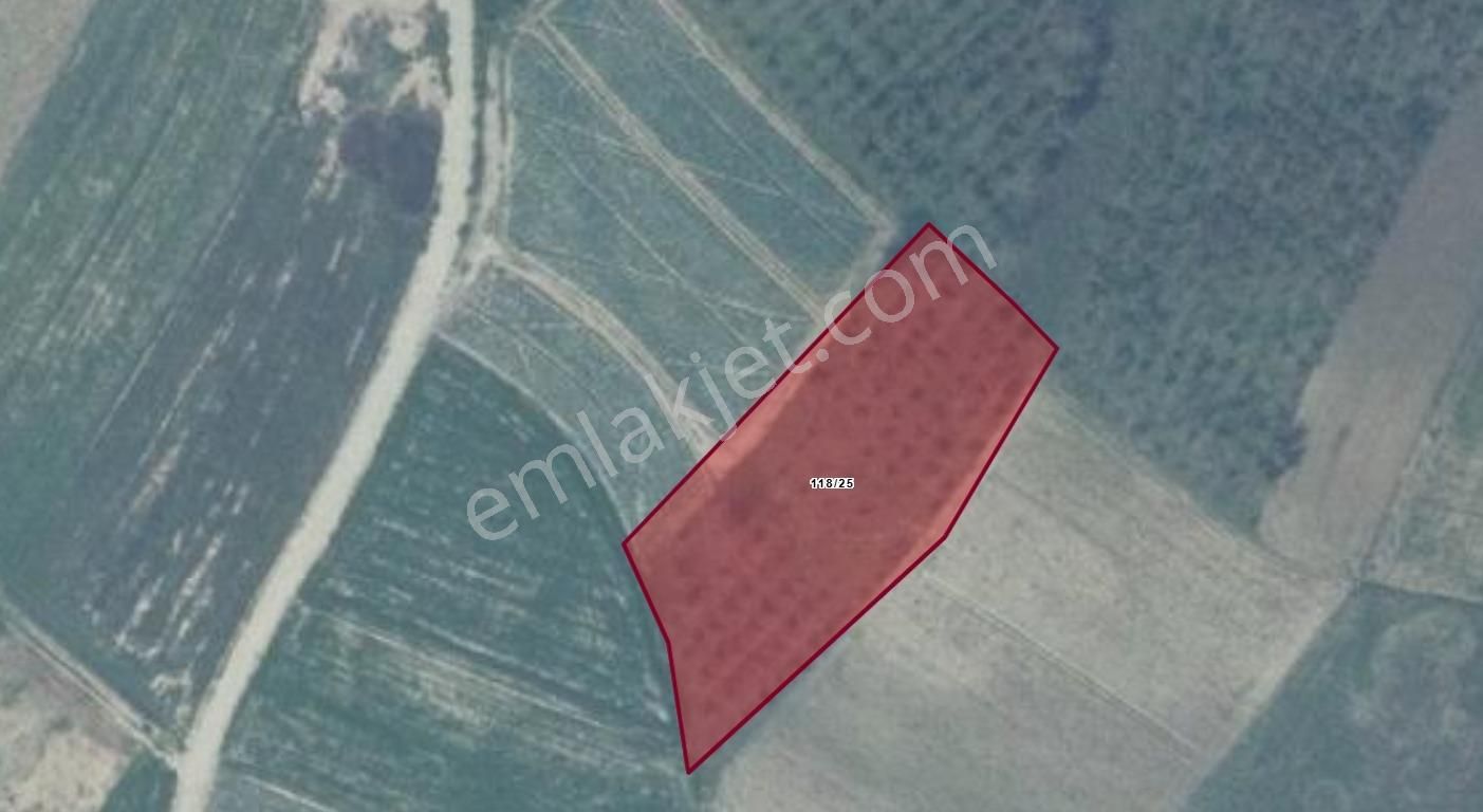 Ayhan Hepdiker Den Şehytimarın Da Yola Bir Parsel 2880 M2 Tarla - Görsel 6