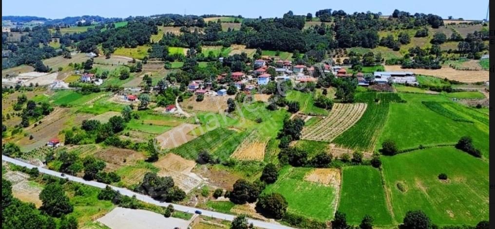 Ayhan Hepdiker Den Şehytimarın Da Yola Bir Parsel 2880 M2 Tarla - Görsel 3