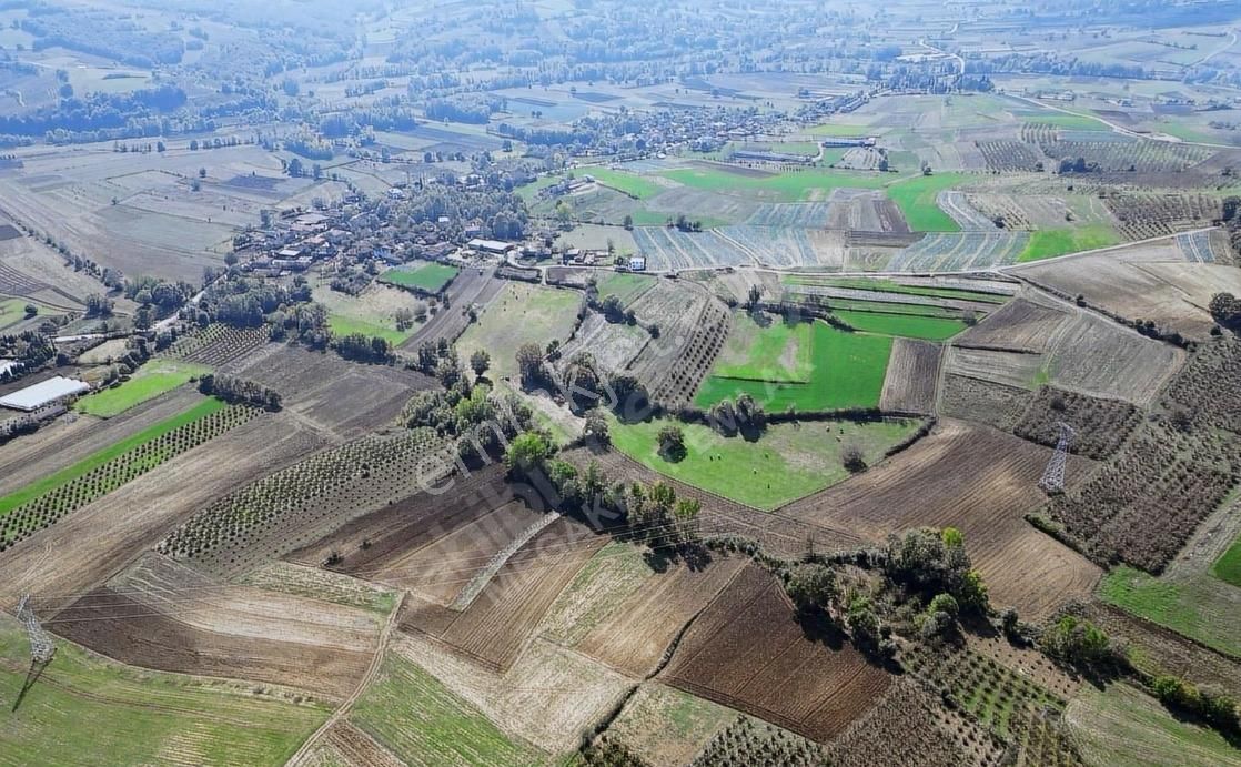 Ayhan Hepdiker Den Şehytimarın Da Yola Bir Parsel 2880 M2 Tarla