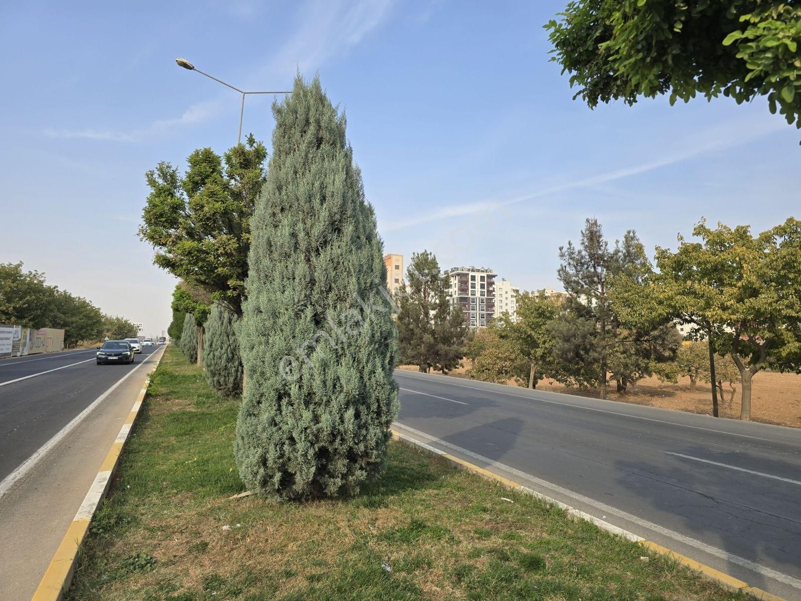 Yasin Batan'dan 1800m² Emsalsiz Dükkan Mağaza! - Görsel 2