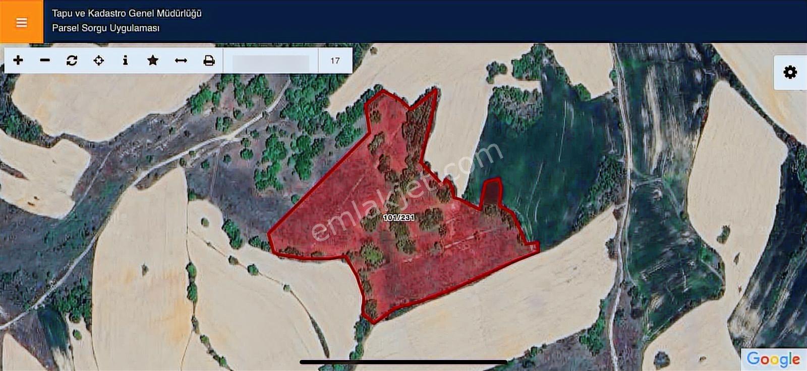 Kocatarla Köyünde 1.532 M² Çaplı Muvafakatnameli Satılık Tarla - Görsel 3