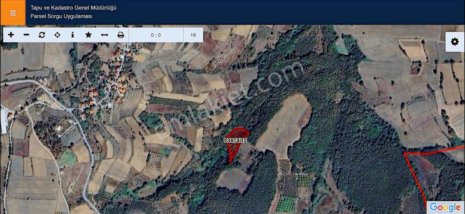 Ormana Cephe 4.201 M2 Satılık Müstakil Tarla