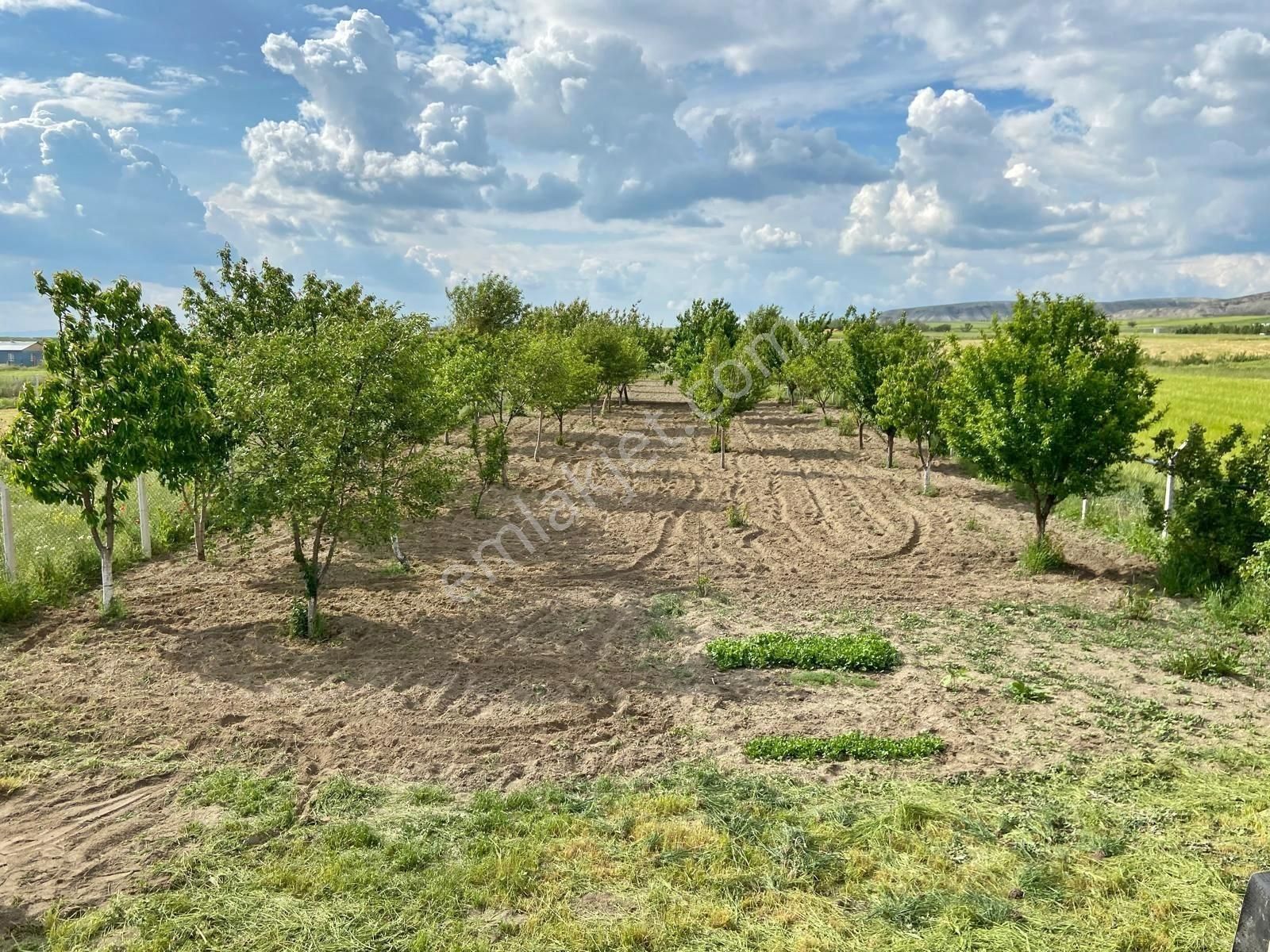 Güdül Güneyce'de İmarlı İçerisinde Evi Olan 900 M2 Villa Arsası - Görsel 32
