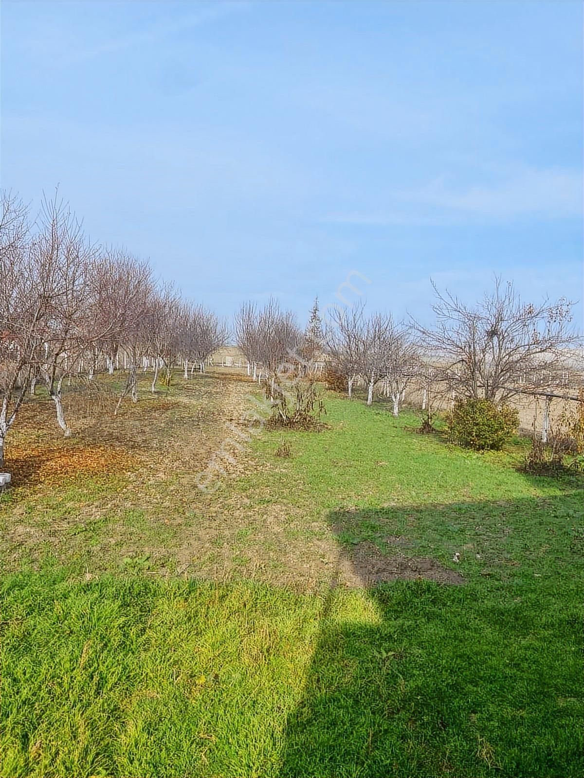Güdül Güneyce'de İmarlı İçerisinde Evi Olan 900 M2 Villa Arsası - Görsel 15
