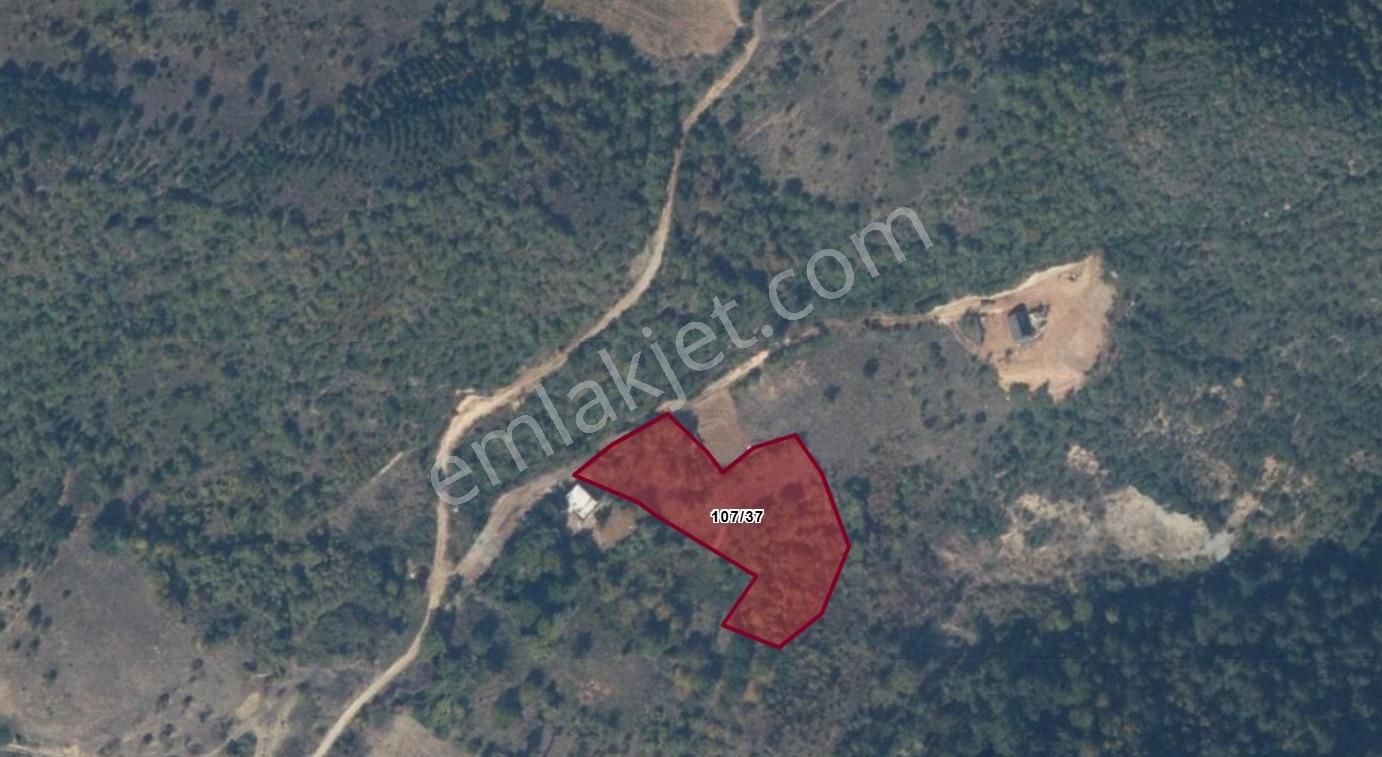 Ayhan Hepdiker Den Geyve Ilıca'da 3863 M2 Yollu Orman Manzaralı