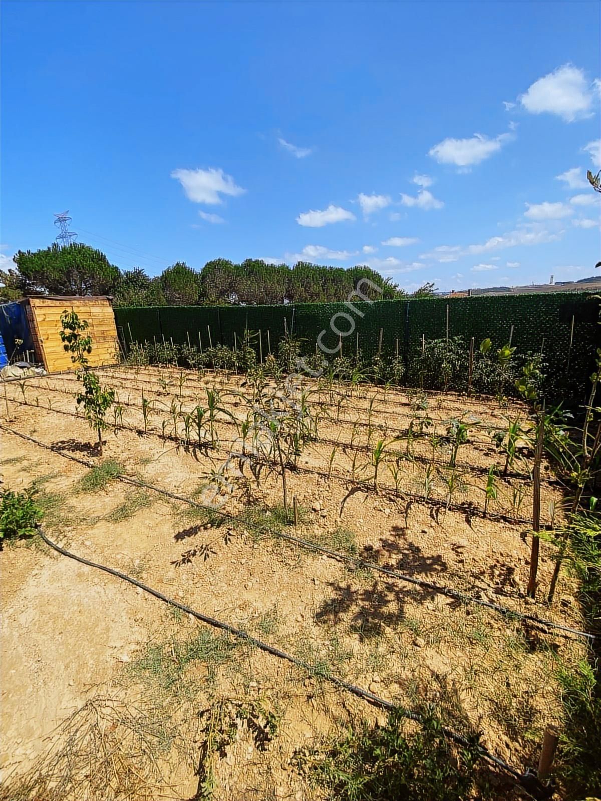 Doğayla İç İçe Yaşam Fırsatı - Görsel 8