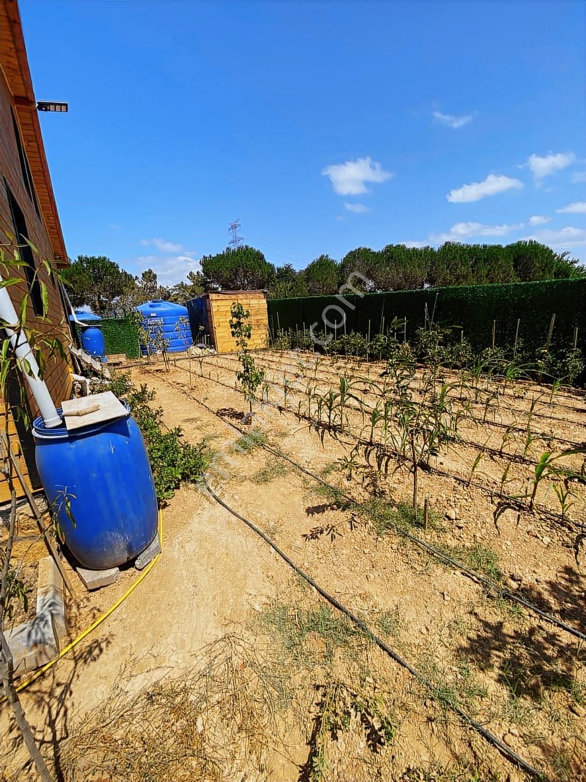 Doğayla İç İçe Yaşam Fırsatı - Görsel 3