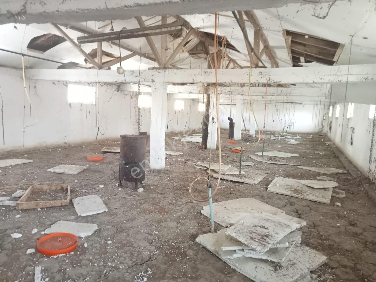 Mudurnu Taşkesti'de Satılık Tavuk Kümesi Ve Arazisi - Görsel 13