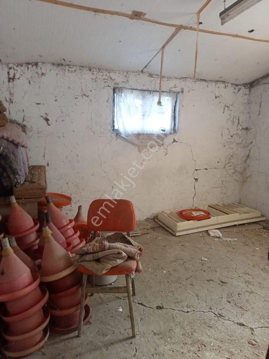 Mudurnu Taşkesti'de Satılık Tavuk Kümesi Ve Arazisi - Görsel 7