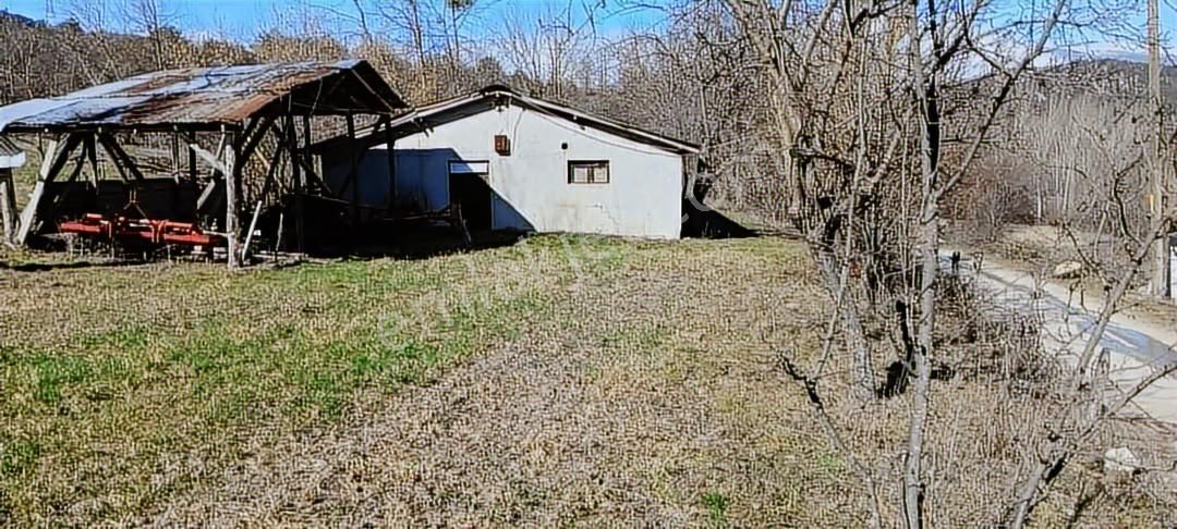 Mudurnu Taşkesti'de Satılık Tavuk Kümesi Ve Arazisi - Görsel 2