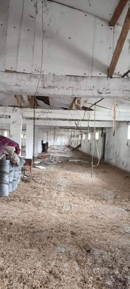 Mudurnu Taşkesti'de Satılık Tavuk Kümesi Ve Arazisi - Görsel 8