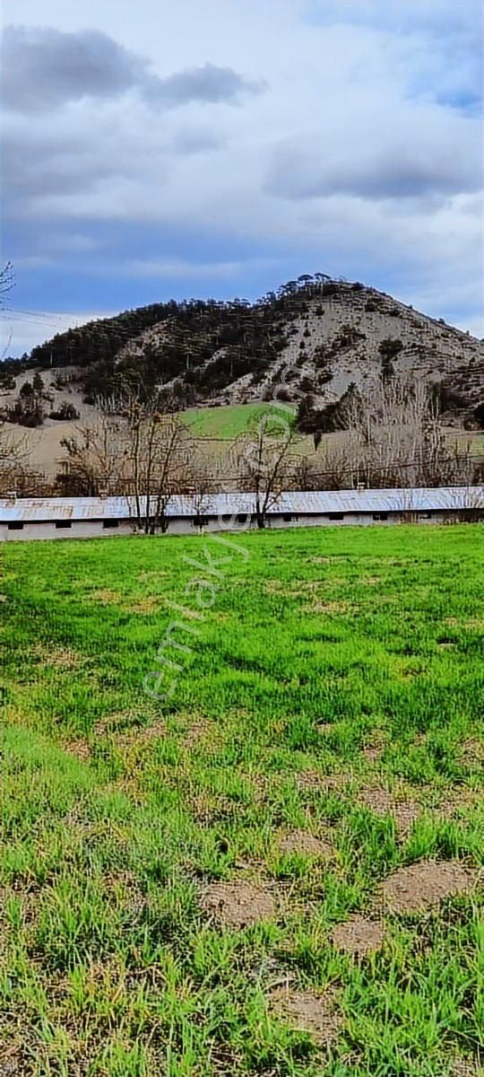 Mudurnu Taşkesti'de Satılık Tavuk Kümesi Ve Arazisi