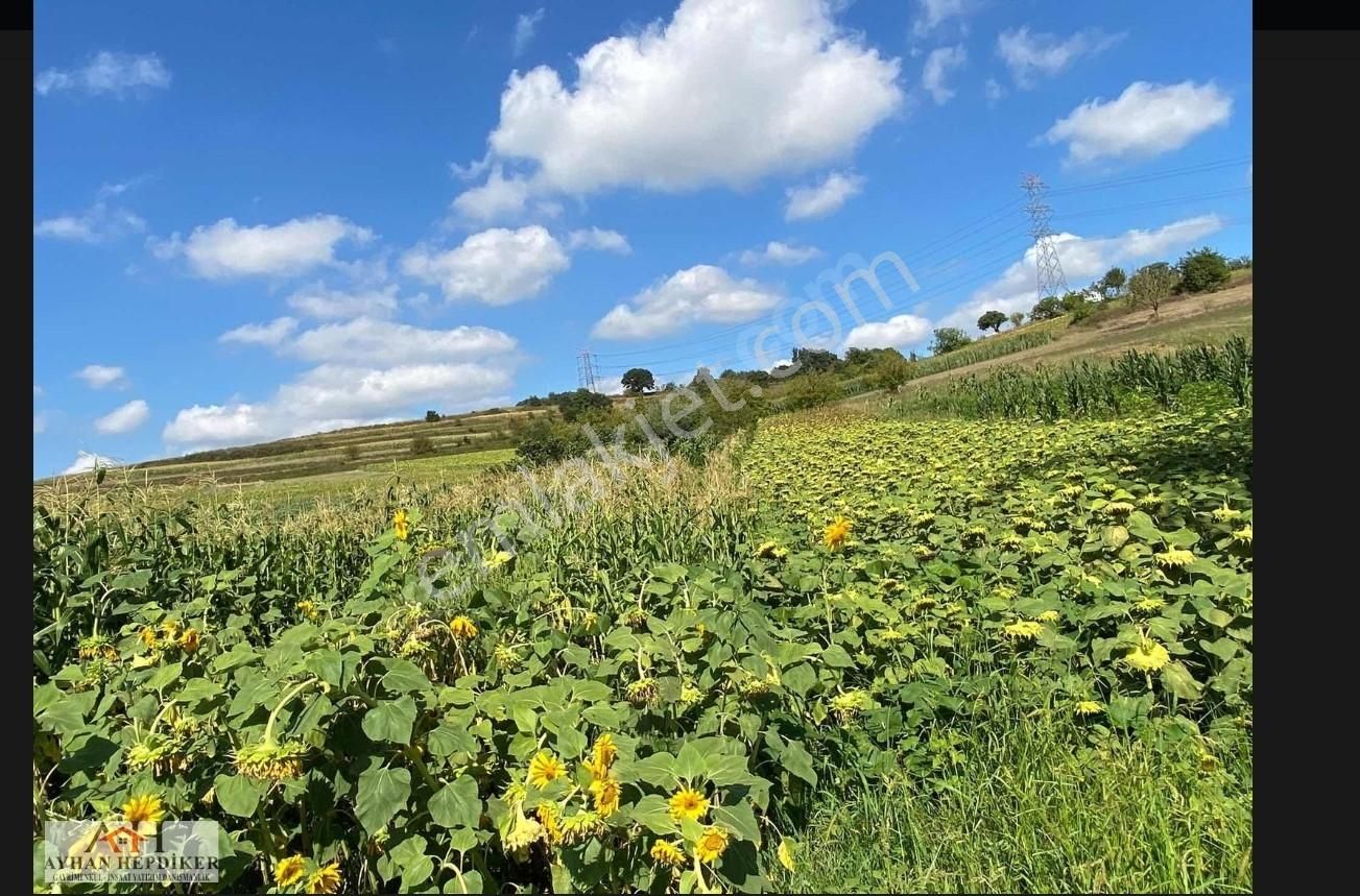 Ayhan Hepdiker Den Salmanlıda Asvalt Yola Cepheli 1.377m2 Tarla - Görsel 5