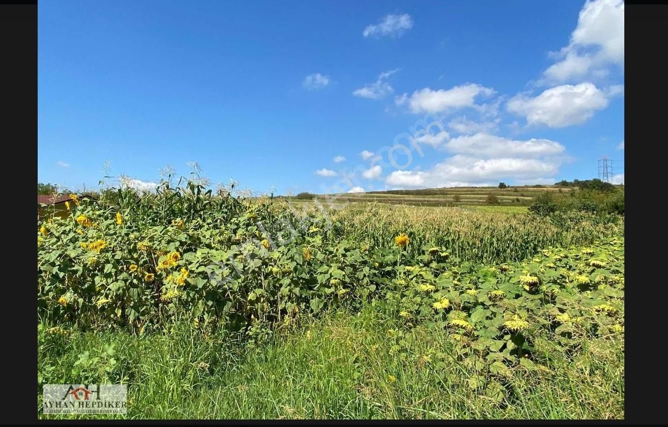 Ayhan Hepdiker Den Salmanlıda Asvalt Yola Cepheli 1.377m2 Tarla - Görsel 15