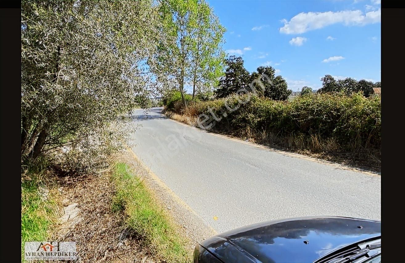 Ayhan Hepdiker Den Salmanlıda Asvalt Yola Cepheli 1.377m2 Tarla - Görsel 3